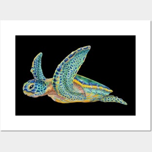 Sea Turtle Posters and Art